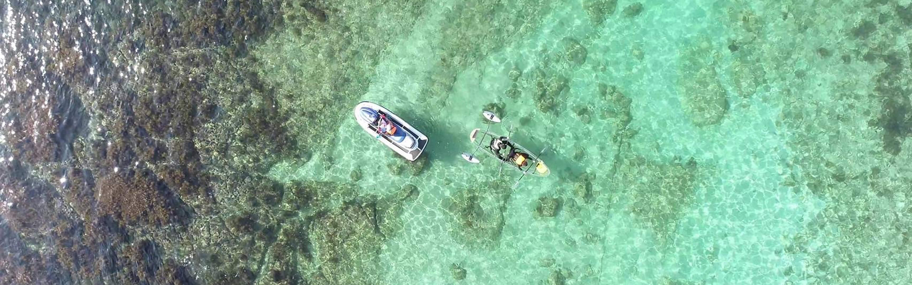 お知らせのメインビジュアル